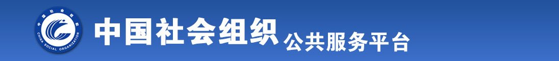 男生艹妣全国社会组织信息查询